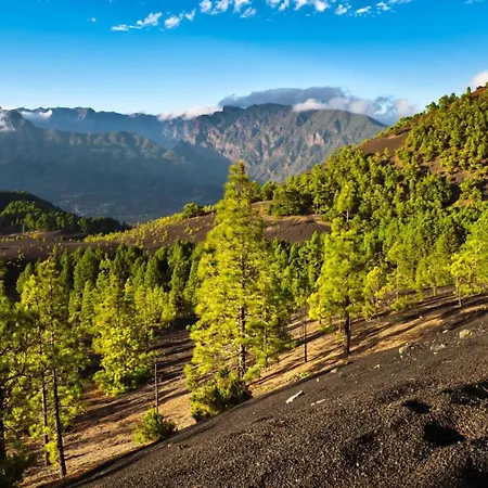 Dom wakacyjny Estudio Bibi El Paso