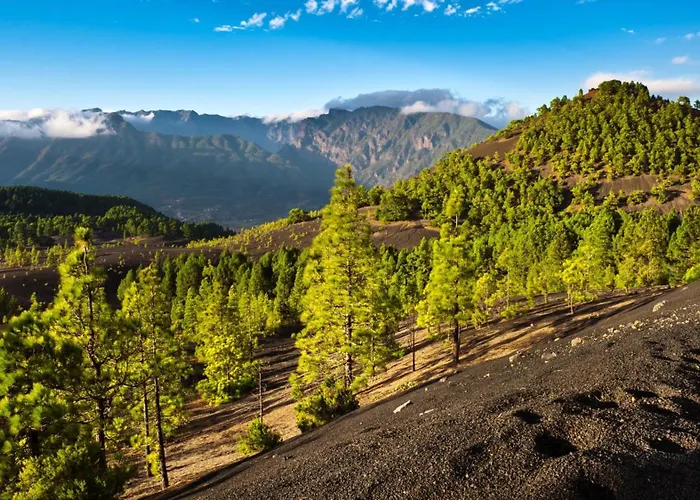 度假居 Estudio Bibi 埃尔帕索